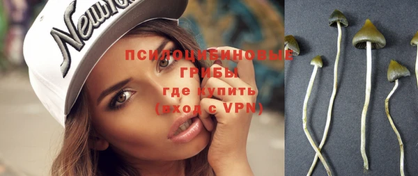 ПСИЛОЦИБИНОВЫЕ ГРИБЫ Осинники