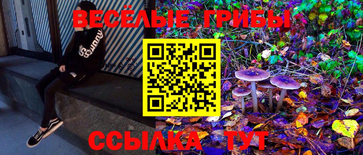 Псилоцибиновые грибы Magic Shrooms Егорьевск