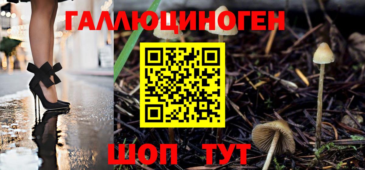 где купить наркоту  Псилоцибиновые грибы прущие грибы  Егорьевск  Галлюциногенные грибы прущие грибы 