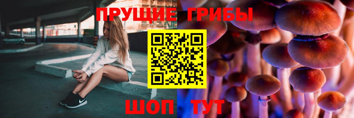где найти наркотики  Псилоцибиновые грибы GOLDEN TEACHER  Вход с VPN  Егорьевск 